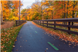 Fall Color Path