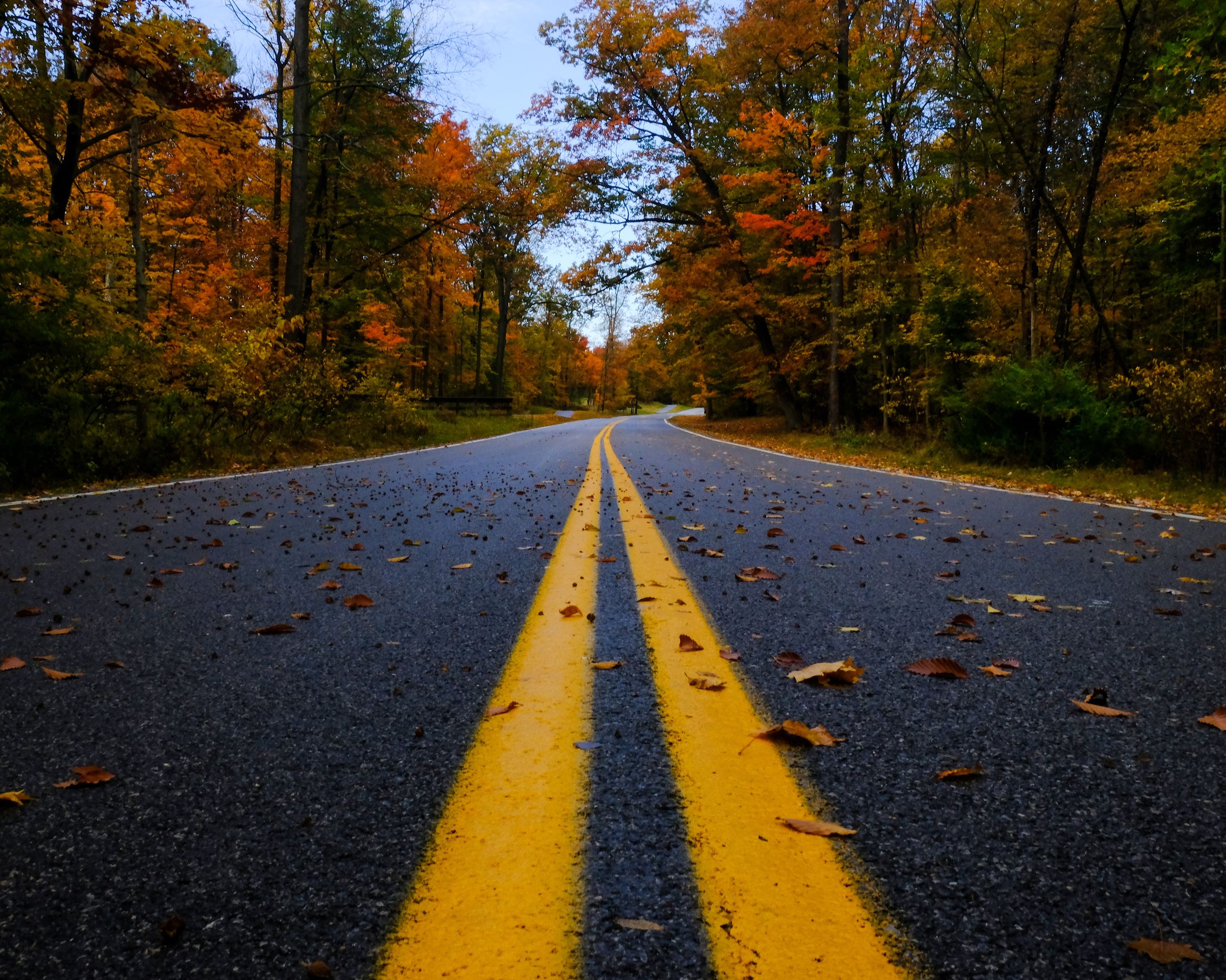 Fall on Valley Parkway