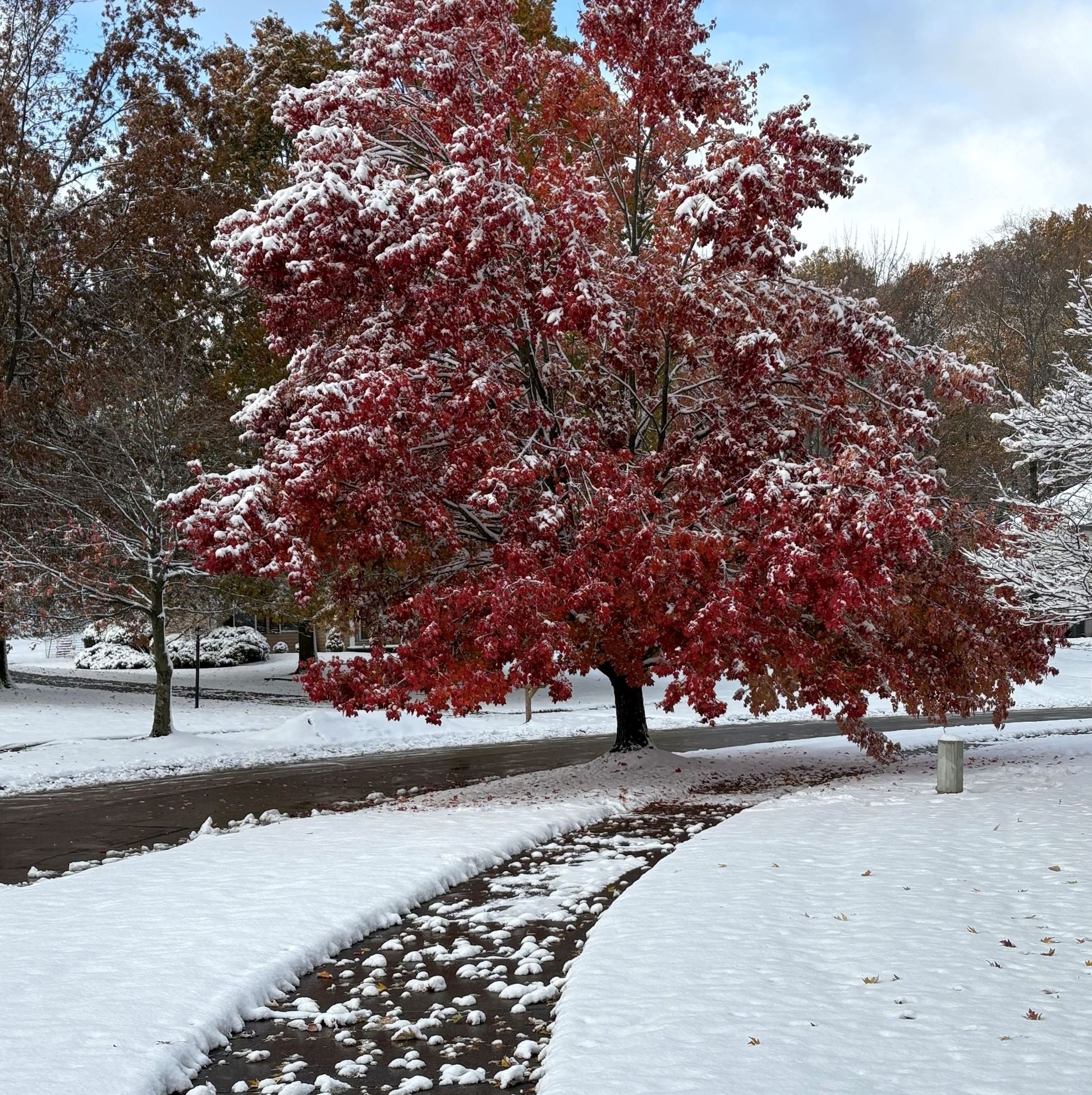 Fall Meets winter