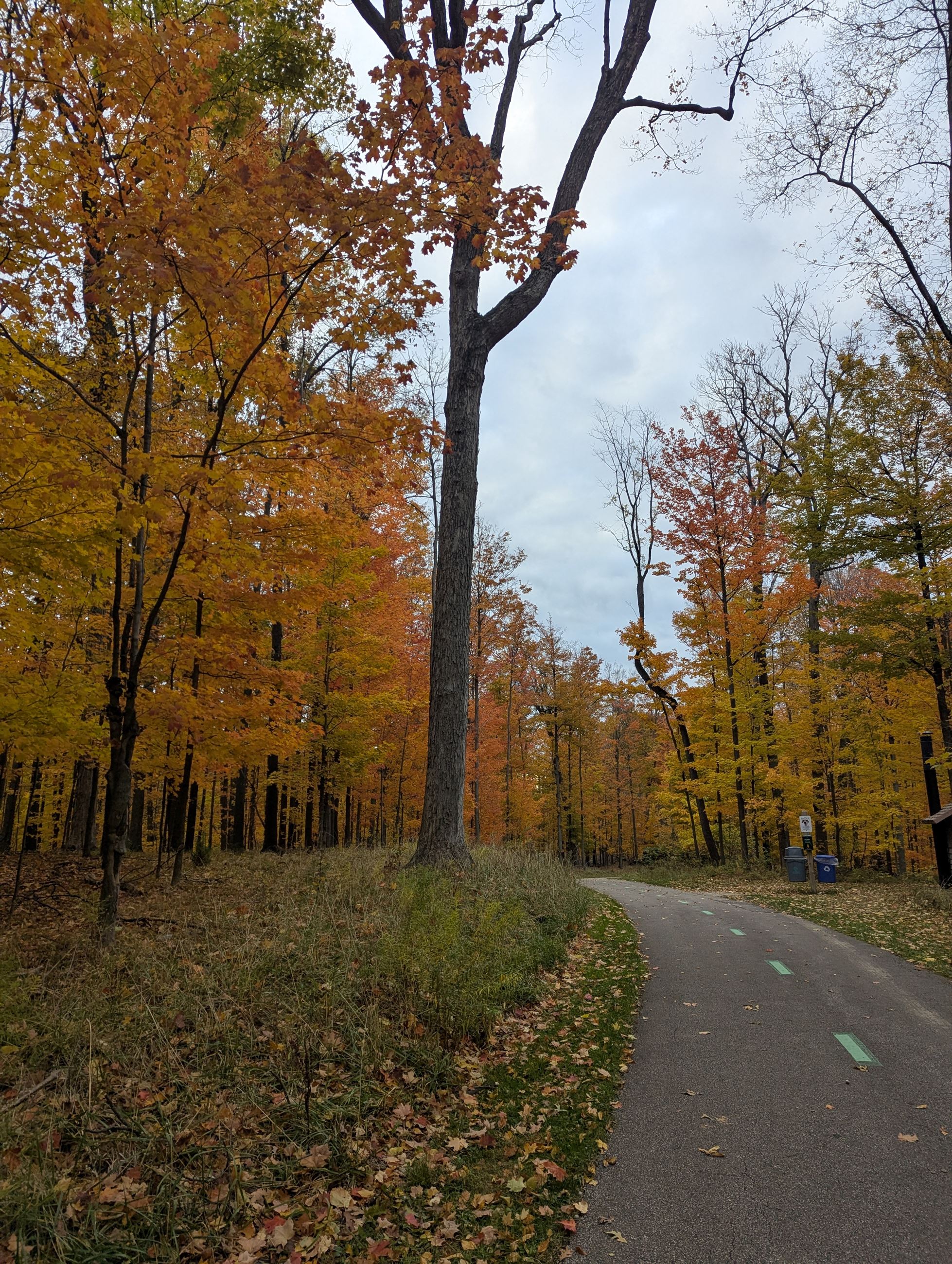 Fall Metropark walk