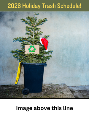 Newsflash 2x3 website 10-2-25 (1)